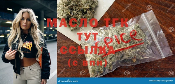 крисы Инсар