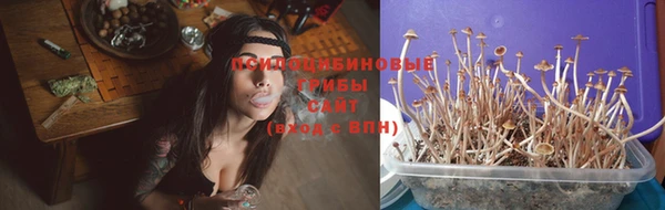 спайс Каменка