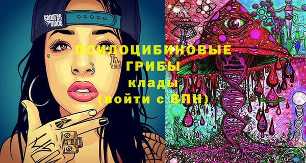 крисы Инсар
