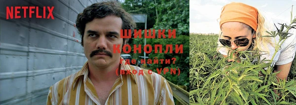 крисы Инсар