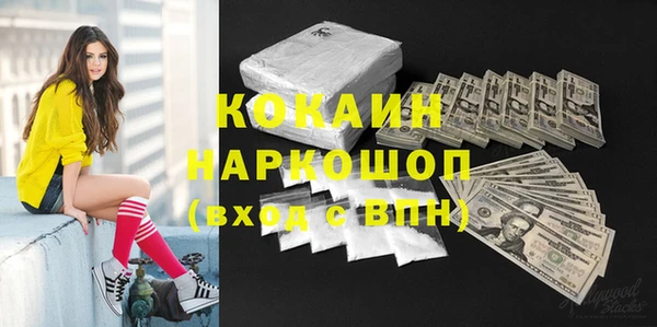 крисы Инсар