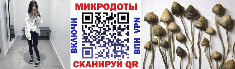Купить где  Мончегорск  Псилоцибиновые грибы Psilocybe 